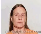 Mugshot of Tasha Ann Kujawa booked in Lucas County, Ohio on July 20, 2026