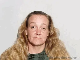Mugshot of Amanda Lynn Lovett booked in Lucas County, Ohio on August 19, 2026