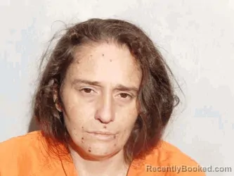 Mugshot of Amanda Mary Millhoan booked in Lucas County, Ohio on August 20, 2026
