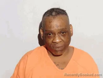 Mugshot of Ernestine Danille Mccoy booked in Lucas County, Ohio on August 28, 2026