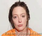 Mugshot of Jessica Kay Orcutt-Akerman booked in Lucas County, Ohio on July 16, 2026