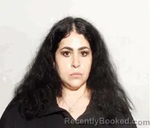 Mugshot of Noel Osama Swidan booked in Lucas County, Ohio on August 5, 2026
