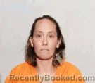 Mugshot of Shannon L Snyder booked in Lucas County, Ohio on June 6, 2026