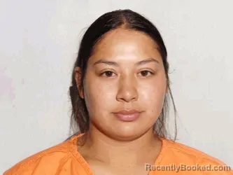 Mugshot of Brianna Cheyenne Thomas booked in Lucas County, Ohio on August 23, 2026