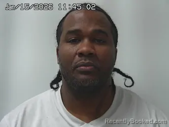 Mugshot of JAMIE WILLIAMS