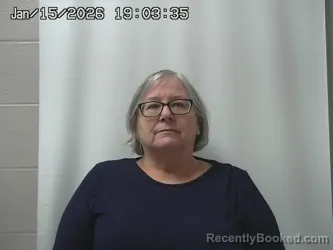 Mugshot of LINDA LEWIS