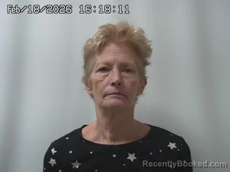 Mugshot of BETH COLLINS