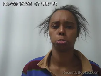 Mugshot of SORAYA WILSON