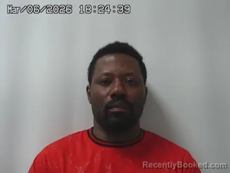 Mugshot of ALAIN BERGER