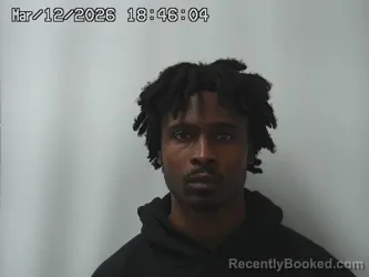 Mugshot of BRANDON FORD