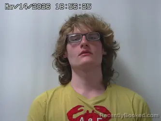 Mugshot of NATHAN WILLIAMS