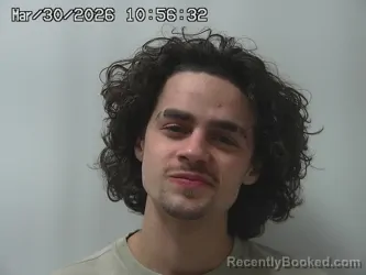 Mugshot of SAMUEL WELLS