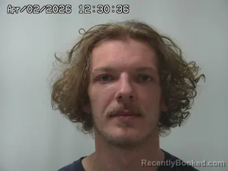 Mugshot of TAYLOR FRISBY booked in Madison County, Ohio on April 2, 2026