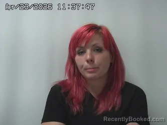 Mugshot of HALEY MITCHELL booked in Madison County, Ohio on April 23, 2026