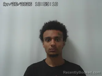 Mugshot of ELIJAH AUSTIN booked in Madison County, Ohio on April 26, 2026