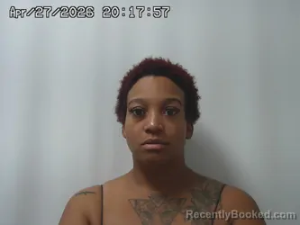 Mugshot of KARLEE TERRY booked in Madison County, Ohio on April 27, 2026