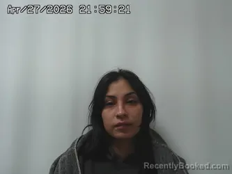 Mugshot of YESSICA MARTINEZ SARAVIA booked in Madison County, Ohio on April 27, 2026