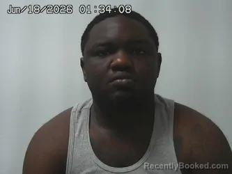 Mugshot of XZAVIER SIDNEY booked in Madison County, Ohio on June 18, 2026