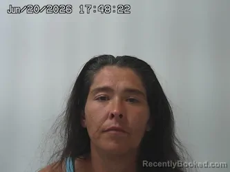 Mugshot of JESSICA TILLEY booked in Madison County, Ohio on June 20, 2026