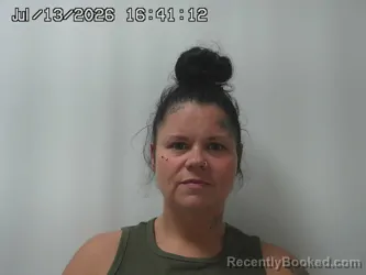 Mugshot of ASHLEY DAVIS booked in Madison County, Ohio on July 13, 2026