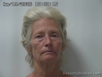 Mugshot of Beth Collins booked in Madison County, Ohio on August 19, 2026