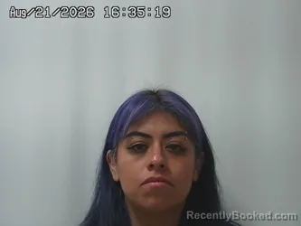 Mugshot of Michelle Natividad Mendez booked in Madison County, Ohio on August 21, 2026