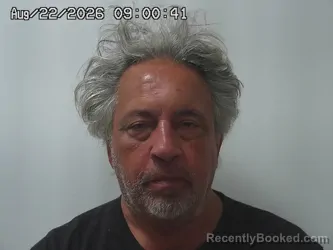 Mugshot of Michael Iannarino booked in Madison County, Ohio on August 22, 2026