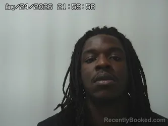 Mugshot of Jashawn Tally booked in Madison County, Ohio on August 24, 2026