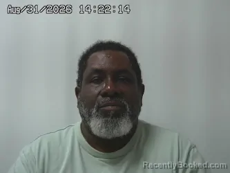 Mugshot of David Brown booked in Madison County, Ohio on August 31, 2026