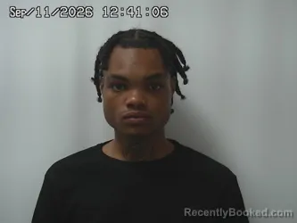 Mugshot of Steven Gales Jr booked in Madison County, Ohio on September 11, 2026