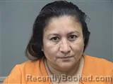 Mugshot of CARMEN TOAPANTA-SANCHEZ