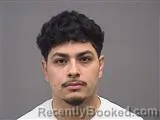 Mugshot of NELSON ORELLANA MELGAR