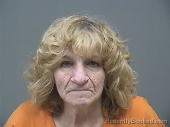 Mugshot of CAROL FANFER booked in Mahoning County, Ohio on April 21, 2026