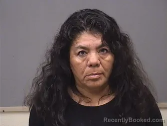 Mugshot of DOLORES BUSTAMANTE-ROMERO booked in Mahoning County, Ohio on April 22, 2026