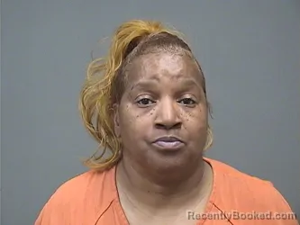 Mugshot of PRISCILLA DENISE WILLIAMS booked in Mahoning County, Ohio on April 23, 2026