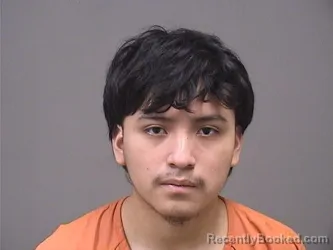Mugshot of OSEAS PEREZ PEREZ booked in Mahoning County, Ohio on April 23, 2026