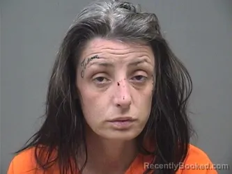 Mugshot of JAIME ANN RICKERD booked in Mahoning County, Ohio on April 27, 2026