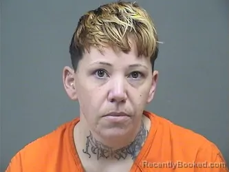 Mugshot of CHRISTINA M SNYDER booked in Mahoning County, Ohio on April 29, 2026