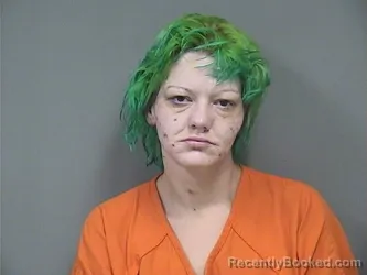 Mugshot of ANGEL MARIE SAVAGE booked in Mahoning County, Ohio on April 30, 2026