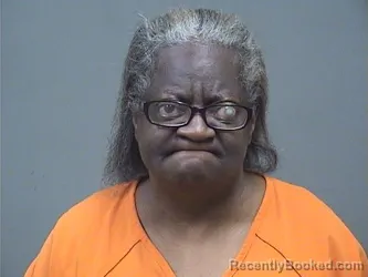 Mugshot of LYNETTA M BAILEY booked in Mahoning County, Ohio on May 5, 2026