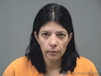 Mugshot of BRENDA LEE ARCANGELI booked in Mahoning County, Ohio on May 7, 2026