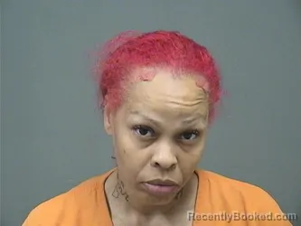 Mugshot of NYEASHA PEEPLES booked in Mahoning County, Ohio on May 13, 2026