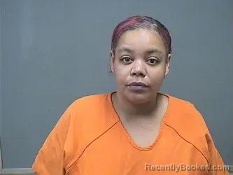Mugshot of ADRIANNE LYNN HUDSON booked in Mahoning County, Ohio on May 21, 2026