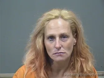 Mugshot of SAMANTHA ALLISON WAYNE booked in Mahoning County, Ohio on June 23, 2026