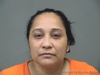 Mugshot of KERINA DIAZ LOBO booked in Mahoning County, Ohio on June 23, 2026