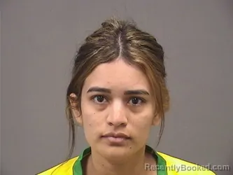 Mugshot of ESTEFANIA ANDREINA GUEVARA CASTILLO booked in Mahoning County, Ohio on June 23, 2026