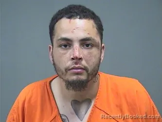 Mugshot of DION L TAYLOR booked in Mahoning County, Ohio on June 25, 2026