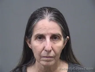 Mugshot of ETNA CECILIA SANZ PEREZ booked in Mahoning County, Ohio on June 26, 2026