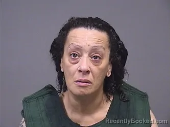 Mugshot of MARISA LINDSEY booked in Mahoning County, Ohio on June 26, 2026