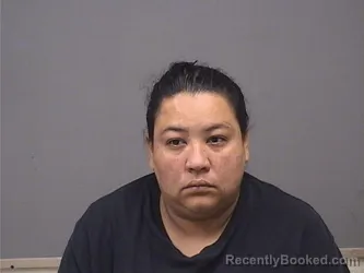 Mugshot of YARLENIS MENDEZ PINA booked in Mahoning County, Ohio on June 29, 2026